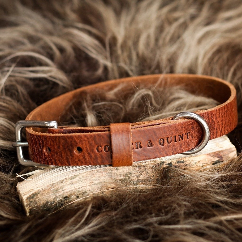 No Fuss – Collier pour chien en cuir marron