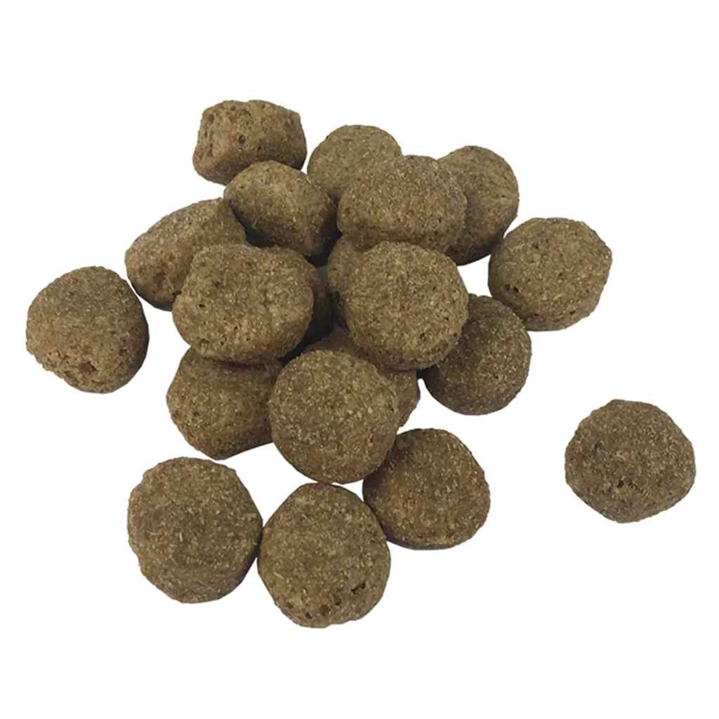 Croquettes chien adulte Adult Essence Bœuf – 2 × 15 kg