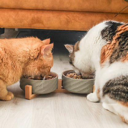 Duo de gamelles en céramique & bambou – Chat & petit chien