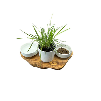 Station d’alimentation RUSTY pour chat – Bois d’olivier & porcelaine