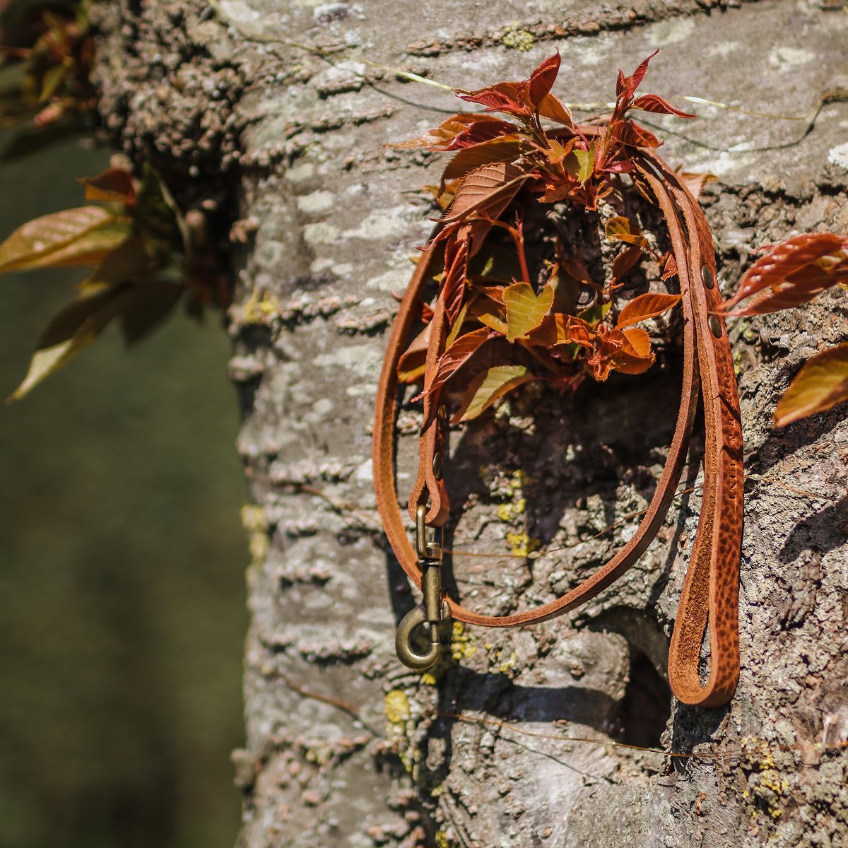 Laisse No Fuss en cuir marron – Vieux laiton | Cooper & Quint