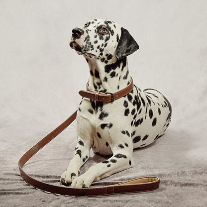 Collier & Laisse pour Chien Vegan Marron & Beige – NE & No®