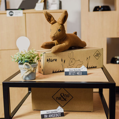 Haru — Le lapin compagnon de jeu pour chien