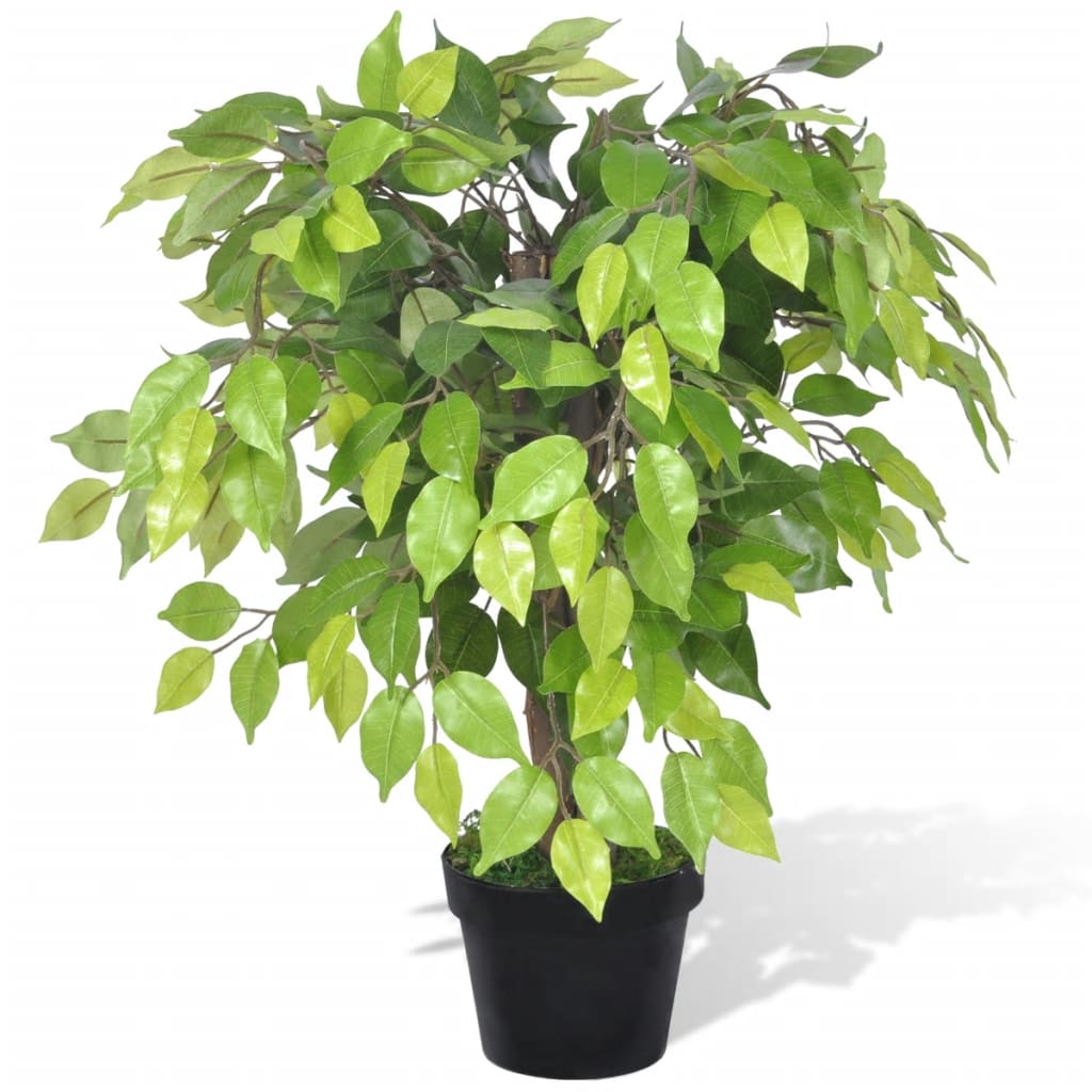Ficus nain artificiel 60 cm en pot noir – fond blanc