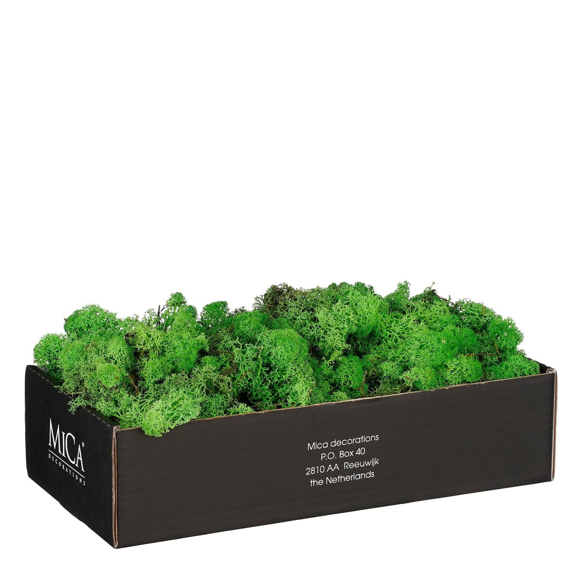 Mousse végétale premium — Finition décorative pour plantes & cache-pots