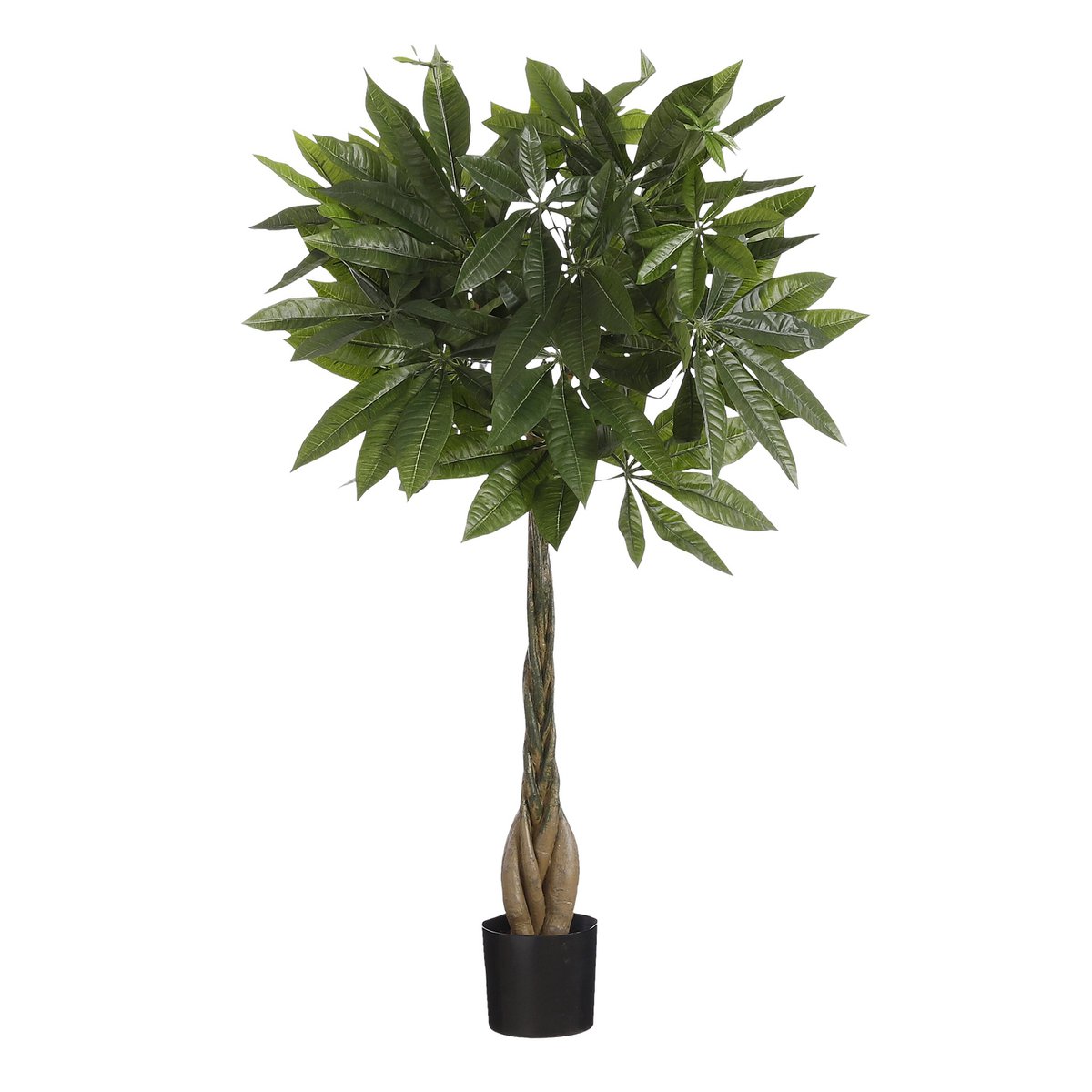 Pachira artificiel Premium 80 cm tronc tressé en bois – fond blanc