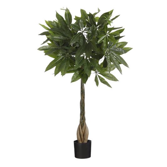 Pachira artificiel Premium 80 cm tronc tressé en bois – fond blanc