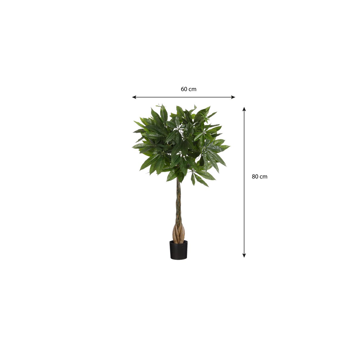 Pachira artificiel 80 cm avec dimensions 60x80 cm
