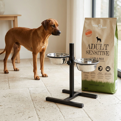 Support double gamelle et sac de croquettes près d’un chien