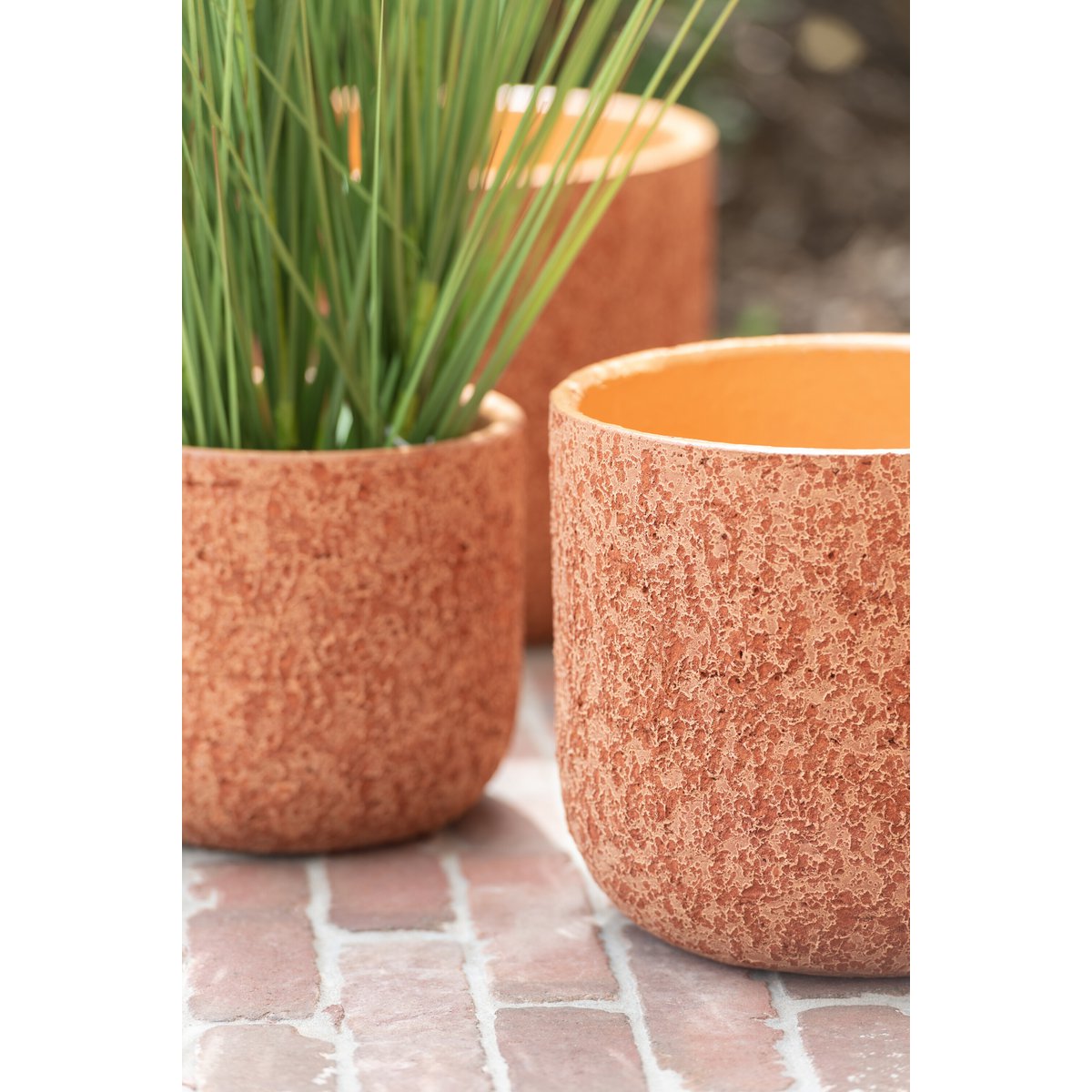 Pot terre cuite J-Line – détail texture avec plante verte